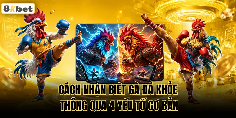 Cách Nhận Biết Gà Đá Khỏe Thông Qua 4 Yếu Tố Cơ Bản