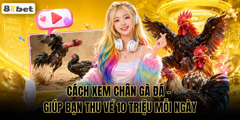Cách Xem Chân Gà Đá - Giúp Bạn Thu Về 10 Triệu Mỗi Ngày