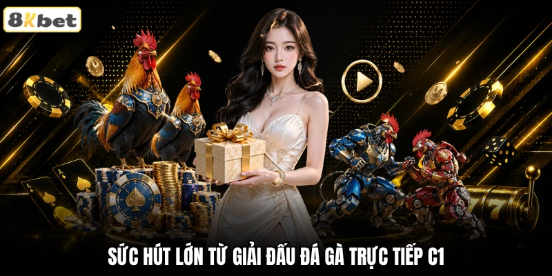 Sức hút lớn từ giải đấu đá gà trực tiếp C1 Sức hút lớn từ giải đấu đá gà trực tiếp C1